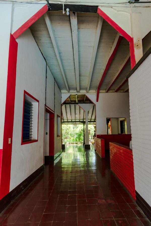 Hostal Lazybones León エクステリア 写真